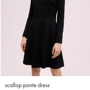 kate spade scallop ponte dress